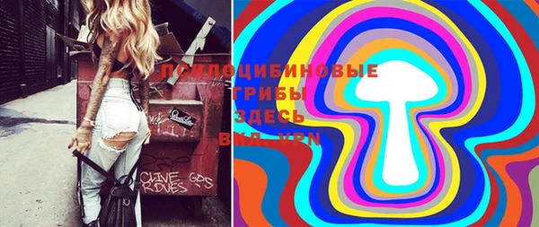 ПСИЛОЦИБИНОВЫЕ ГРИБЫ Абаза